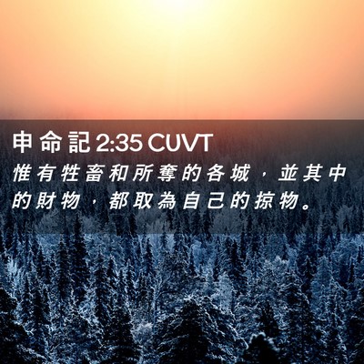 Picture 02 - 申 命 記 2:35 CUVT - 惟 有 牲 畜 和 所 奪 的 各 城 ， 並 - Bible Verse Picture