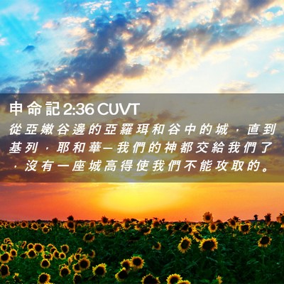 Picture 02 - 申 命 記 2:36 CUVT - 從 亞 嫩 谷 邊 的 亞 羅 珥 和 谷 中 - Bible Verse Picture