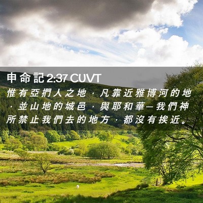 Picture 02 - 申 命 記 2:37 CUVT - 惟 有 亞 捫 人 之 地 ， 凡 靠 近 雅 - Bible Verse Picture