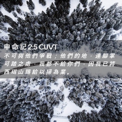 Picture 02 - 申 命 記 2:5 CUVT - 不 可 與 他 們 爭 戰 ； 他 們 的 地 - Bible Verse Picture