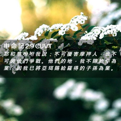 Picture 02 - 申 命 記 2:9 CUVT - 耶 和 華 吩 咐 我 說 ： 不 可 擾 害 - Bible Verse Picture