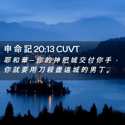 Picture 02 - 申 命 記 20:13 CUVT - 耶 和 華 ─ 你 的 神 把 城 交 付 你 - Bible Verse Picture