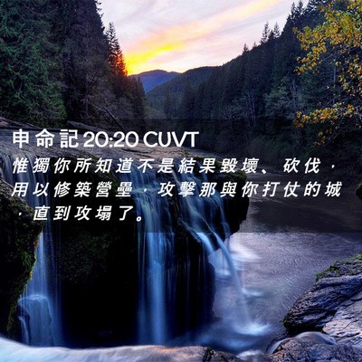 Picture 02 - 申 命 記 20:20 CUVT - 惟 獨 你 所 知 道 不 是 結 果 毀 壞 - Bible Verse Picture