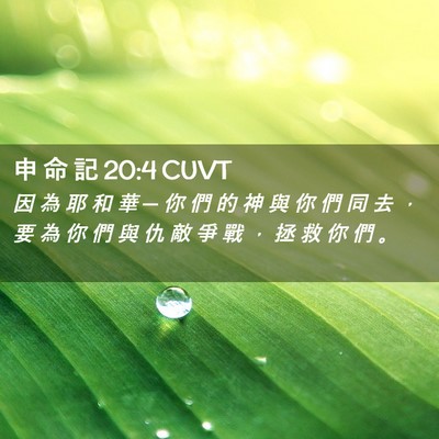 Picture 02 - 申 命 記 20:4 CUVT - 因 為 耶 和 華 ─ 你 們 的 神 與 你 - Bible Verse Picture