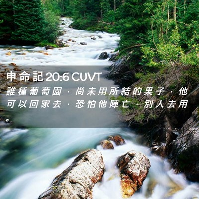 Picture 02 - 申 命 記 20:6 CUVT - 誰 種 葡 萄 園 ， 尚 未 用 所 結 的 - Bible Verse Picture