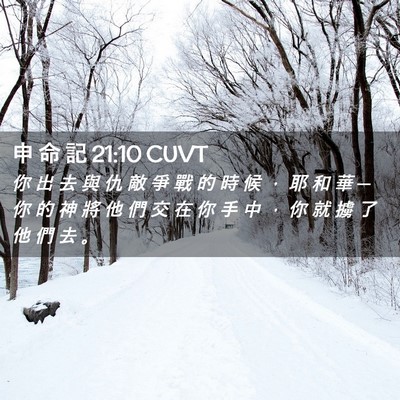 Picture 02 - 申 命 記 21:10 CUVT - 你 出 去 與 仇 敵 爭 戰 的 時 候 ， - Bible Verse Picture
