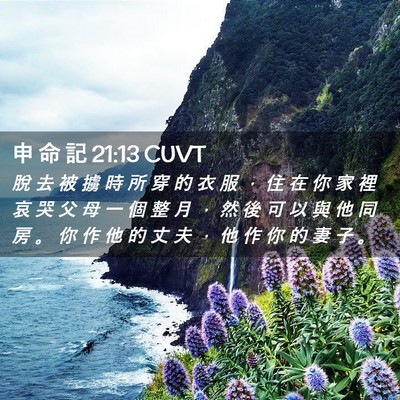 Picture 02 - 申 命 記 21:13 CUVT - 脫 去 被 擄 時 所 穿 的 衣 服 ， 住 - Bible Verse Picture