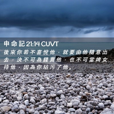 Picture 02 - 申 命 記 21:14 CUVT - 後 來 你 若 不 喜 悅 他 ， 就 要 由 - Bible Verse Picture