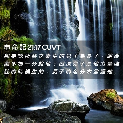 Picture 02 - 申 命 記 21:17 CUVT - 卻 要 認 所 惡 之 妻 生 的 兒 子 為 - Bible Verse Picture