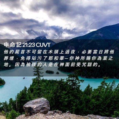 Picture 02 - 申 命 記 21:23 CUVT - 他 的 屍 首 不 可 留 在 木 頭 上 過 - Bible Verse Picture