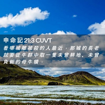 Picture 02 - 申 命 記 21:3 CUVT - 看 哪 城 離 被 殺 的 人 最 近 ， 那 - Bible Verse Picture