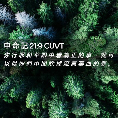 Picture 02 - 申 命 記 21:9 CUVT - 你 行 耶 和 華 眼 中 看 為 正 的 事 - Bible Verse Picture