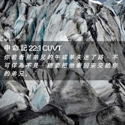 Picture 02 - 申 命 記 22:1 CUVT - 你 若 看 見 弟 兄 的 牛 或 羊 失 迷 - Bible Verse Picture