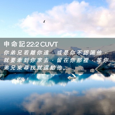 Picture 02 - 申 命 記 22:2 CUVT - 你 弟 兄 若 離 你 遠 ， 或 是 你 不 - Bible Verse Picture