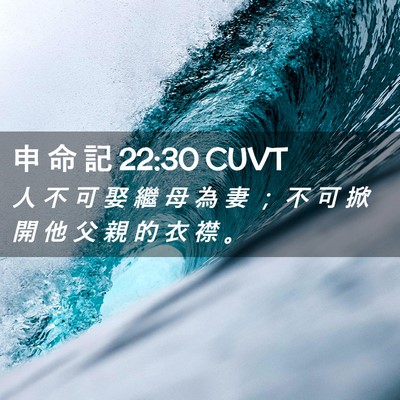 Picture 02 - 申 命 記 22:30 CUVT - 人 不 可 娶 繼 母 為 妻 ； 不 可 掀 - Bible Verse Picture