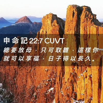 Picture 02 - 申 命 記 22:7 CUVT - 總 要 放 母 ， 只 可 取 雛 ， 這 樣 - Bible Verse Picture