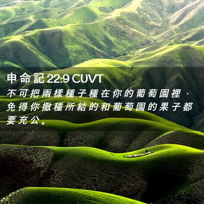 Picture 02 - 申 命 記 22:9 CUVT - 不 可 把 兩 樣 種 子 種 在 你 的 葡 - Bible Verse Picture