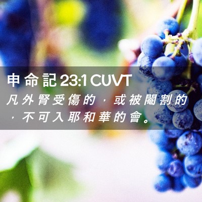 Picture 02 - 申 命 記 23:1 CUVT - 凡 外 腎 受 傷 的 ， 或 被 閹 割 的 - Bible Verse Picture