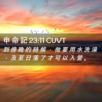 Picture 02 - 申 命 記 23:11 CUVT - 到 傍 晚 的 時 候 ， 他 要 用 水 洗 - Bible Verse Picture