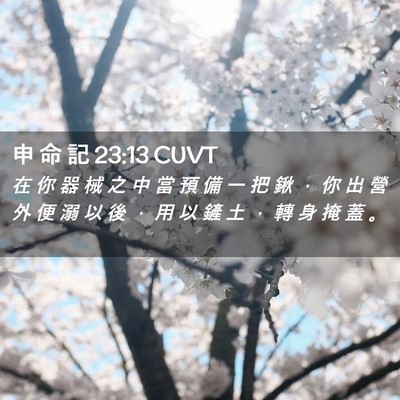 Picture 02 - 申 命 記 23:13 CUVT - 在 你 器 械 之 中 當 預 備 一 把 鍬 - Bible Verse Picture