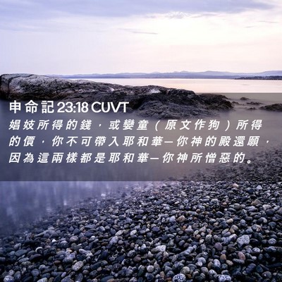 Picture 02 - 申 命 記 23:18 CUVT - 娼 妓 所 得 的 錢 ， 或 孌 童 （ 原 - Bible Verse Picture