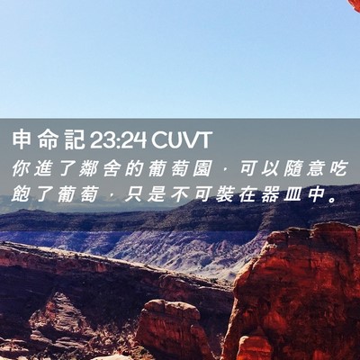 Picture 02 - 申 命 記 23:24 CUVT - 你 進 了 鄰 舍 的 葡 萄 園 ， 可 以 - Bible Verse Picture
