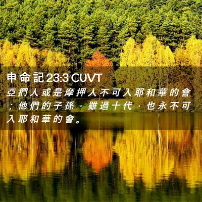 Picture 02 - 申 命 記 23:3 CUVT - 亞 捫 人 或 是 摩 押 人 不 可 入 耶 - Bible Verse Picture