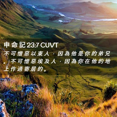 Picture 02 - 申 命 記 23:7 CUVT - 不 可 憎 惡 以 東 人 ， 因 為 他 是 - Bible Verse Picture