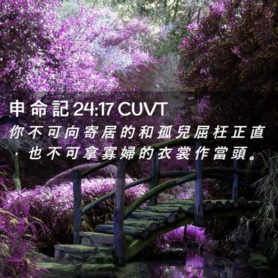 Picture 02 - 申 命 記 24:17 CUVT - 你 不 可 向 寄 居 的 和 孤 兒 屈 枉 - Bible Verse Picture
