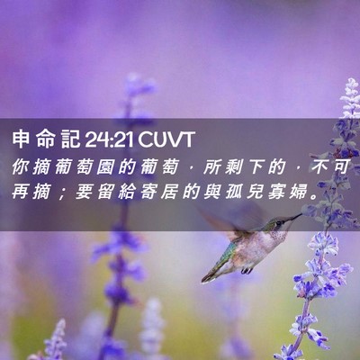 Picture 02 - 申 命 記 24:21 CUVT - 你 摘 葡 萄 園 的 葡 萄 ， 所 剩 下 - Bible Verse Picture