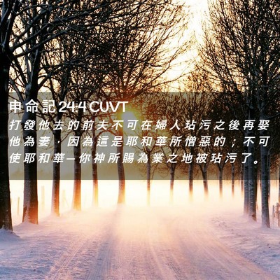 Picture 02 - 申 命 記 24:4 CUVT - 打 發 他 去 的 前 夫 不 可 在 婦 人 - Bible Verse Picture