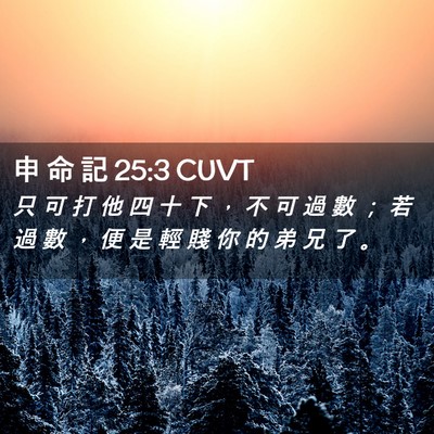 Picture 02 - 申 命 記 25:3 CUVT - 只 可 打 他 四 十 下 ， 不 可 過 數 - Bible Verse Picture
