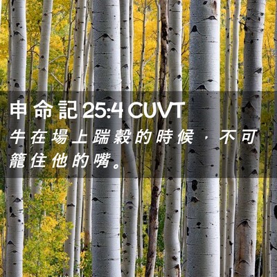 Picture 02 - 申 命 記 25:4 CUVT - 牛 在 場 上 踹 穀 的 時 候 ， 不 可 - Bible Verse Picture