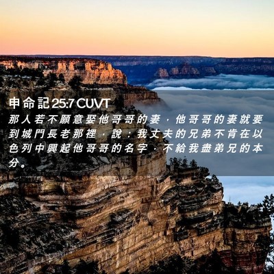 Picture 02 - 申 命 記 25:7 CUVT - 那 人 若 不 願 意 娶 他 哥 哥 的 妻 - Bible Verse Picture
