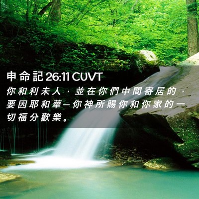 Picture 02 - 申 命 記 26:11 CUVT - 你 和 利 未 人 ， 並 在 你 們 中 間 - Bible Verse Picture