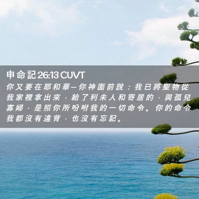 Picture 02 - 申 命 記 26:13 CUVT - 你 又 要 在 耶 和 華 ─ 你 神 面 前 - Bible Verse Picture