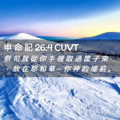 Picture 02 - 申 命 記 26:4 CUVT - 祭 司 就 從 你 手 裡 取 過 筐 子 來 - Bible Verse Picture