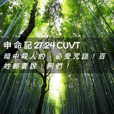 Picture 02 - 申 命 記 27:24 CUVT - 暗 中 殺 人 的 ， 必 受 咒 詛 ！ 百 - Bible Verse Picture