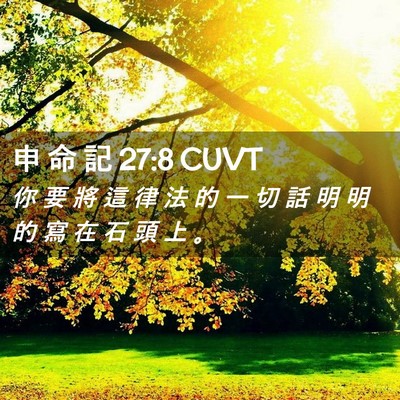 Picture 02 - 申 命 記 27:8 CUVT - 你 要 將 這 律 法 的 一 切 話 明 明 - Bible Verse Picture
