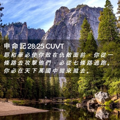 Picture 02 - 申 命 記 28:25 CUVT - 耶 和 華 必 使 你 敗 在 仇 敵 面 前 - Bible Verse Picture