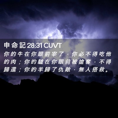 Picture 02 - 申 命 記 28:31 CUVT - 你 的 牛 在 你 眼 前 宰 了 ， 你 必 - Bible Verse Picture