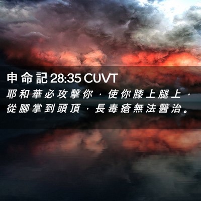 Picture 02 - 申 命 記 28:35 CUVT - 耶 和 華 必 攻 擊 你 ， 使 你 膝 上 - Bible Verse Picture