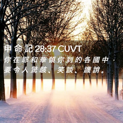 Picture 02 - 申 命 記 28:37 CUVT - 你 在 耶 和 華 領 你 到 的 各 國 中 - Bible Verse Picture