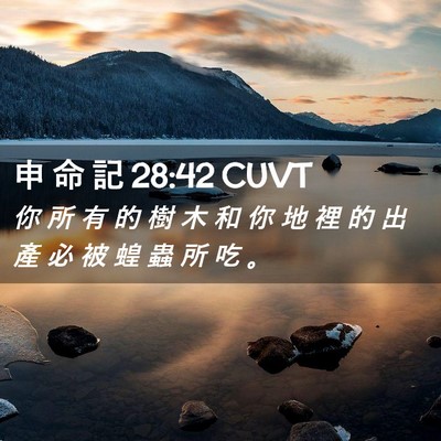 Picture 02 - 申 命 記 28:42 CUVT - 你 所 有 的 樹 木 和 你 地 裡 的 出 - Bible Verse Picture
