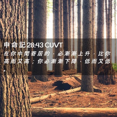 Picture 02 - 申 命 記 28:43 CUVT - 在 你 中 間 寄 居 的 ， 必 漸 漸 上 - Bible Verse Picture