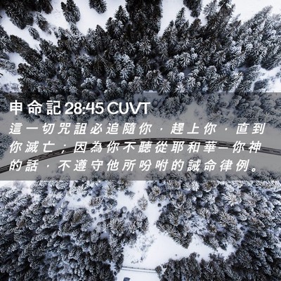 Picture 02 - 申 命 記 28:45 CUVT - 這 一 切 咒 詛 必 追 隨 你 ， 趕 上 - Bible Verse Picture