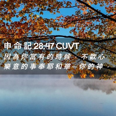 Picture 02 - 申 命 記 28:47 CUVT - 因 為 你 富 有 的 時 候 ， 不 歡 心 - Bible Verse Picture