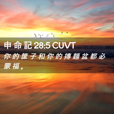 Picture 02 - 申 命 記 28:5 CUVT - 你 的 筐 子 和 你 的 摶 麵 盆 都 必 - Bible Verse Picture