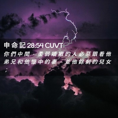 Picture 02 - 申 命 記 28:54 CUVT - 你 們 中 間 ， 柔 弱 嬌 嫩 的 人 必 - Bible Verse Picture