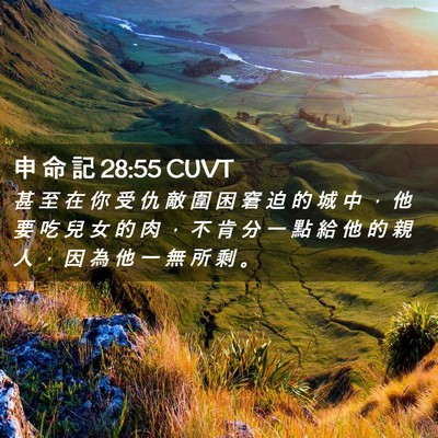 Picture 02 - 申 命 記 28:55 CUVT - 甚 至 在 你 受 仇 敵 圍 困 窘 迫 的 - Bible Verse Picture